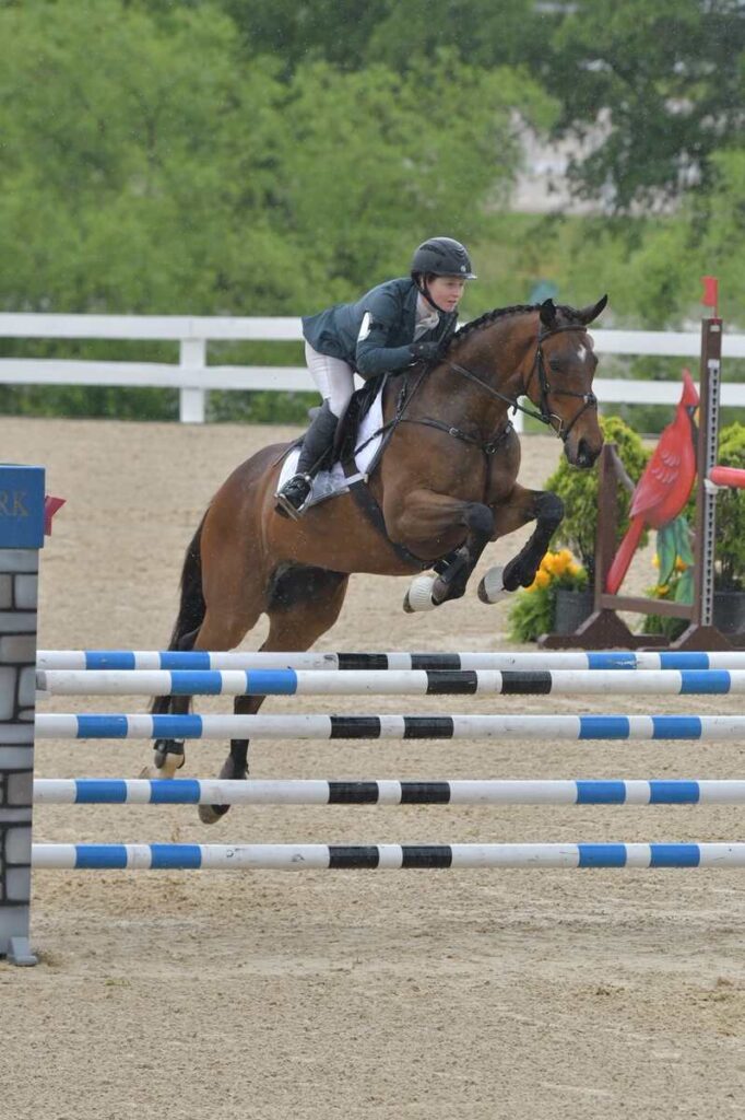 horse jumping stadium fence