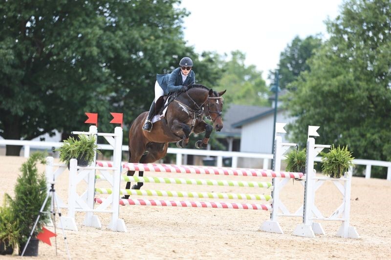 horse jumping stadium fence