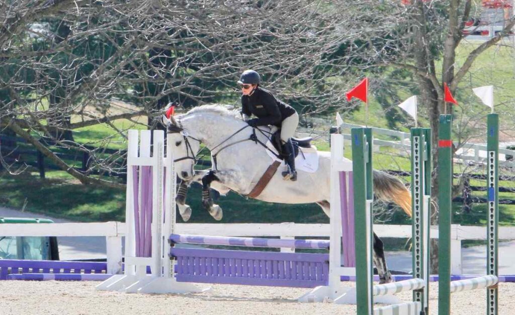 horse jumping stadium fence